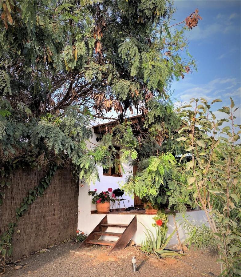 Cabanalanz, Cabanas En Lanzarote San Bartolomé Exterior foto